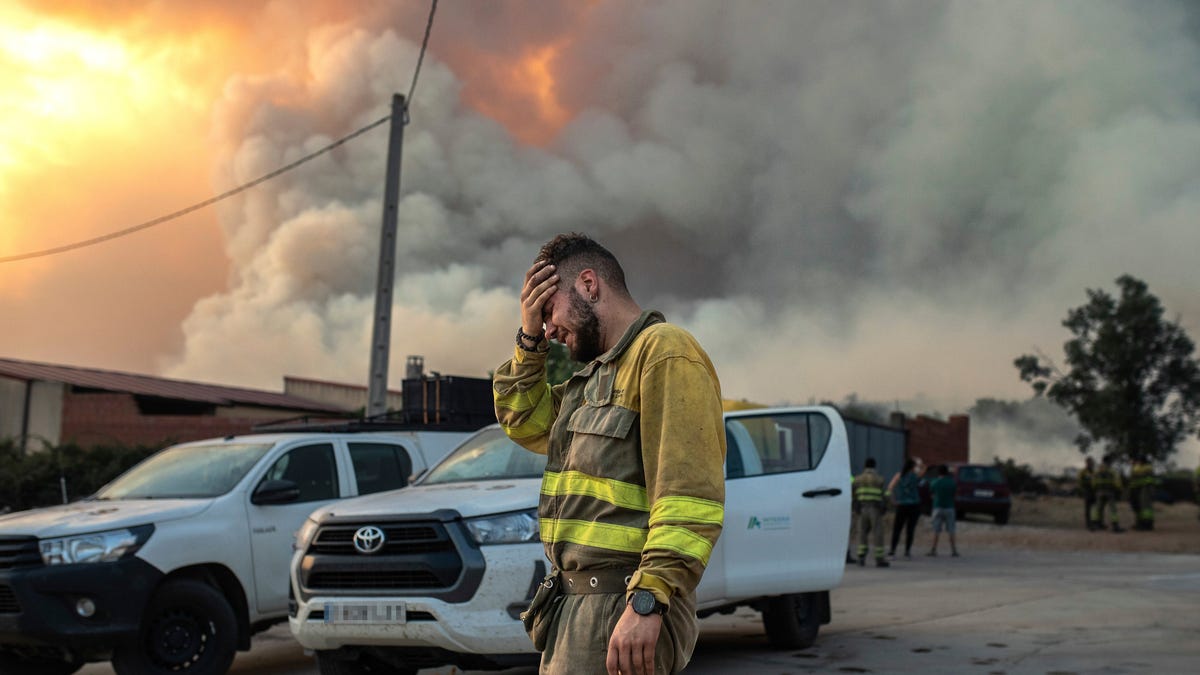 Firefighters battle wildfires raging out of control July 17 in Spain and France, including this one in the Losacio area in northwestern Spain. Europe wilted under an unusually extreme heat wave that authorities in Madrid blamed for hundreds of deaths.