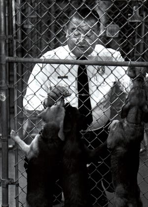 Карл Барли, исполнительный директор Общества защиты животных округа Бивер в 1988 году, играет с несколькими щенками через забор.
