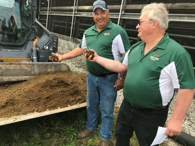 Dale Bogart, left, and Duane Ducat, of Deer Run Dairy in Kewaunee grab handfuls of cow bedding made from manure treated in their anaerobic digester, which creates renewable natural gas from the manure and removes almost all pathogens and odor from the byproducts.