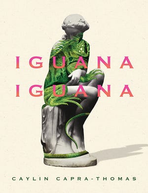 "Iguana Iguana"