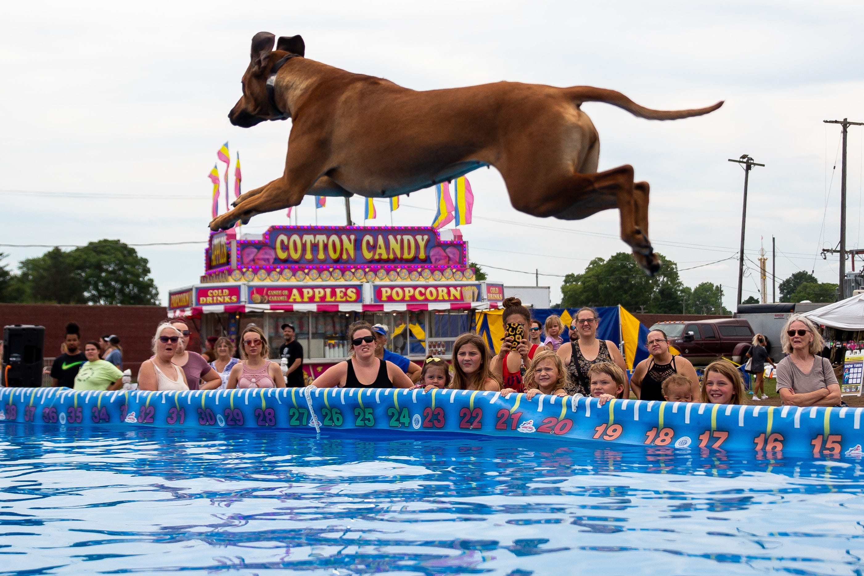 Spectators watch as the Diving Dogs perform Tuesday, July 19, 2022, at the Ionia Free Fair.