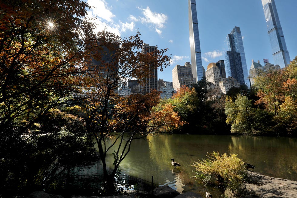 The Pond, near Central Park South in New York City, photographed Nov. 3, 2021.