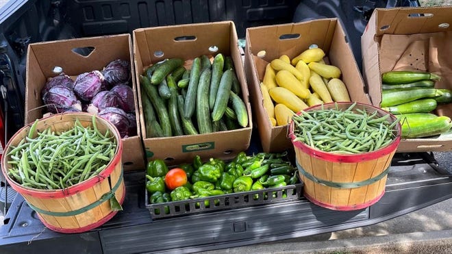 "Garden on the Corner" 174-pound harvest shared with Chesterfield Food Bank Outreach Center and Chester Presbyterian's Grace Café and food pantry.