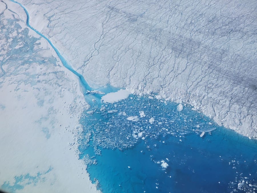 A July 2022 photo of melting summer sea ice in the Arctic Ocean near Greenland.