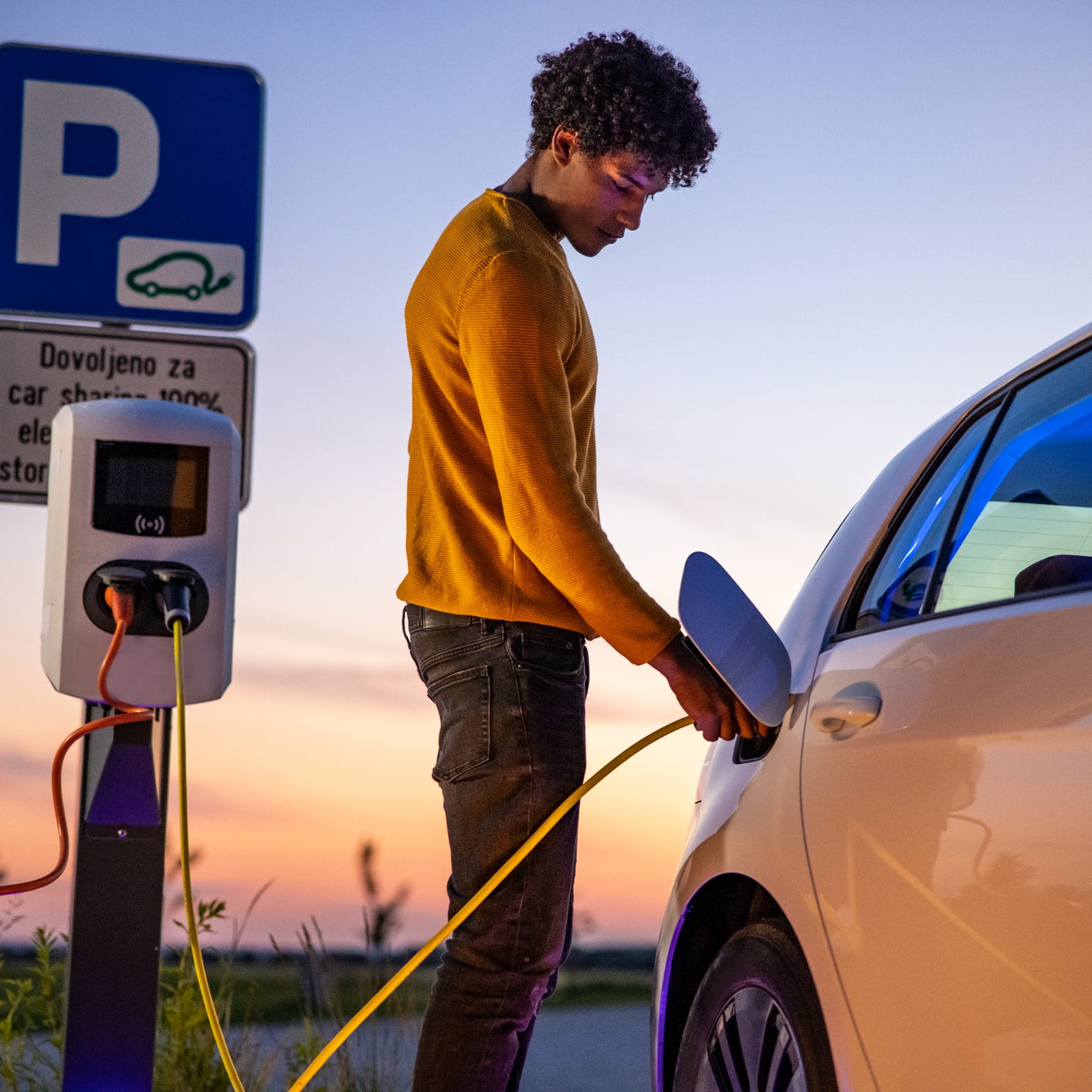 Are electric vehicles a fad, or the future?