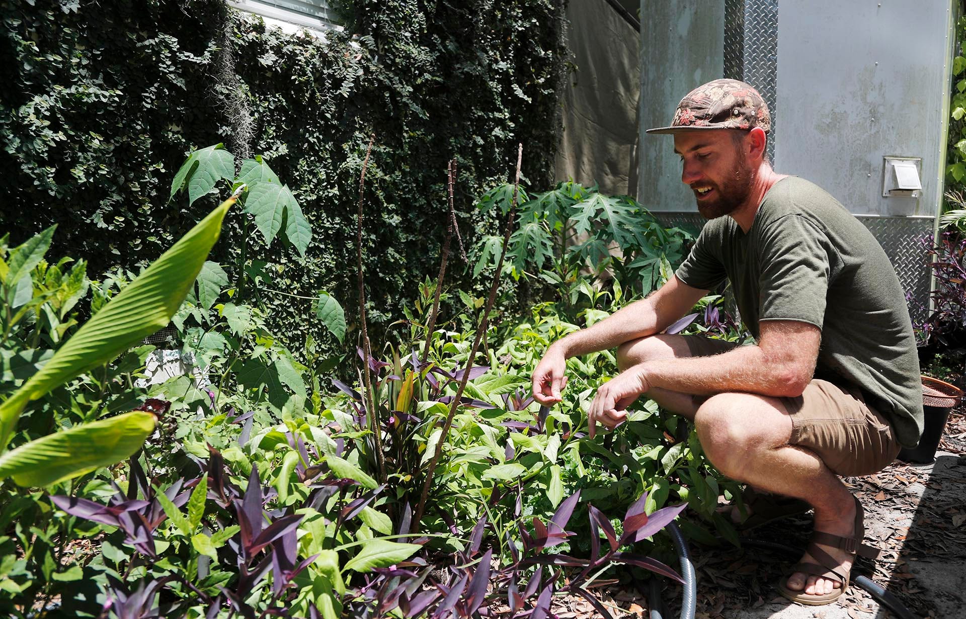 Savannah, GA gardener's native plants promote a healthy ecosystem