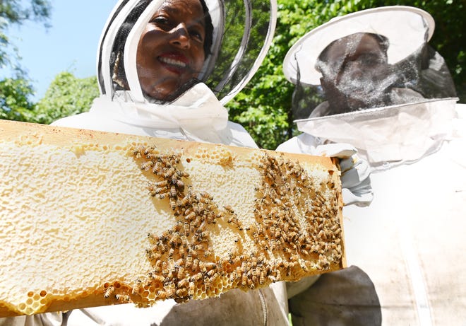 Situs rumah masa kecil Eminem di Detroit menjadi tempat perlindungan lebah
