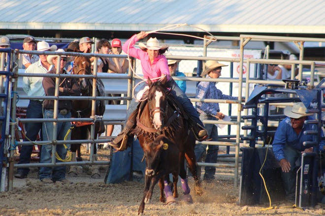 The Ottawa County Fair hosted the Rafter M. Rodeo Thursday evening at the fair's grandstand area. The rodeo included calf roping, bull riding and barrel racing.