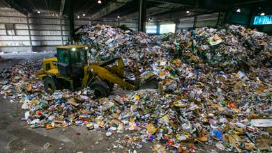 Lee County recycling facility claims top spot in Florida