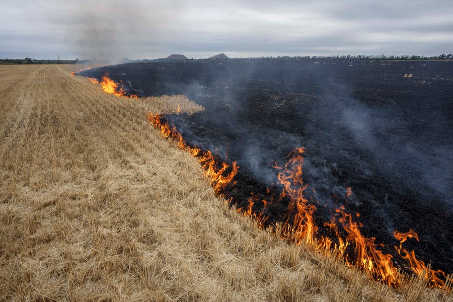 Grain fields burn, on the outskirts of Kurakhove, Donetsk Oblast, eastern Ukraine, Thursday, July 21, 2022.