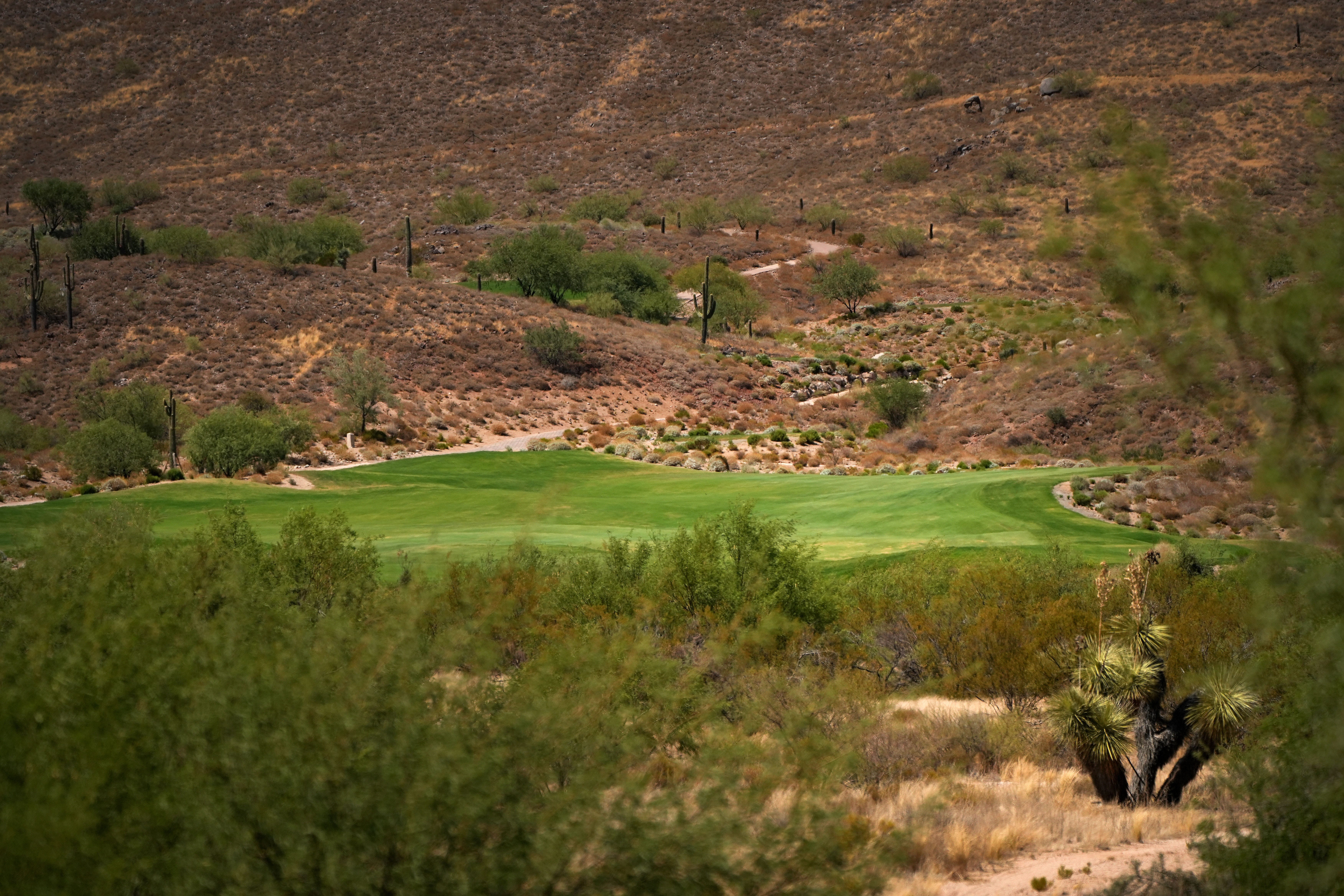 Lush greens dot the desert landscape at Scottsdale National Golf Club on July 23, 2022.