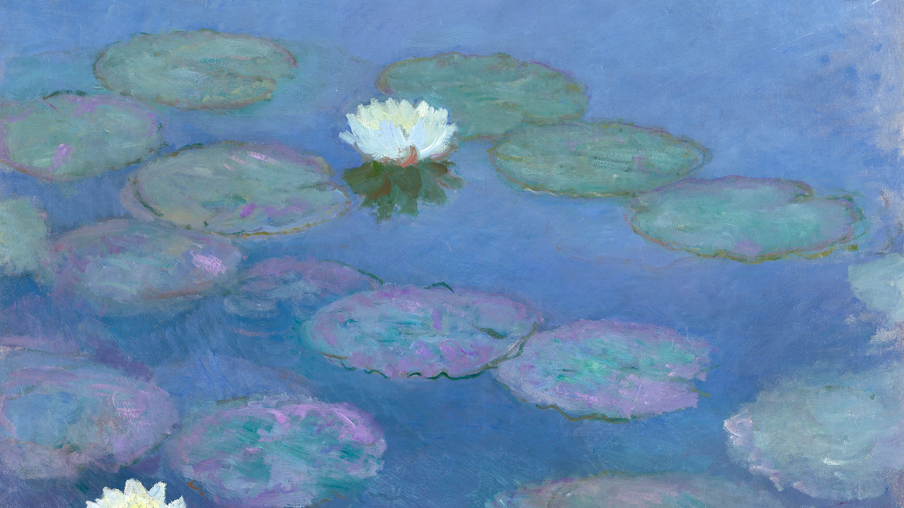 What the Lillies Know