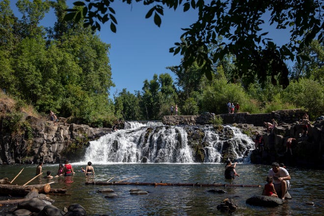 People swim at Scotts Mills Falls.