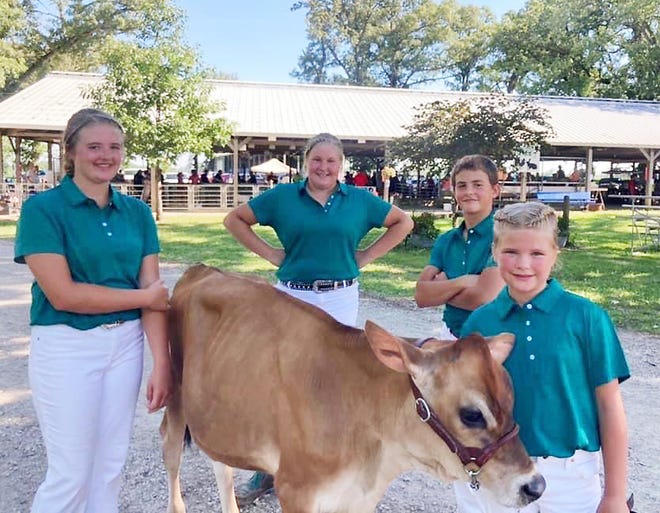 From left, Kamber, Carla, Collin and Kelsey Kilgus teamed up to compete at the dairy show during the Livingston County Ag Fair.