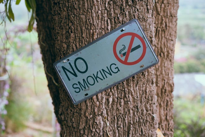 The city of St. Augustine has banned smoking and vaping at its parks.