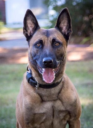 Frankie, a Belgian Malinois and nine-year veteran of the Massachusetts State Police, is the first K-9 from the department killed in the line of duty.