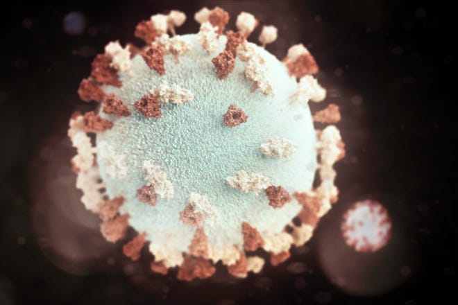 COVID-19 infections rose sharply statewide but more modestly in Davidson County COVID-19 infections rose sharply statewide but more modestly in Davidson County