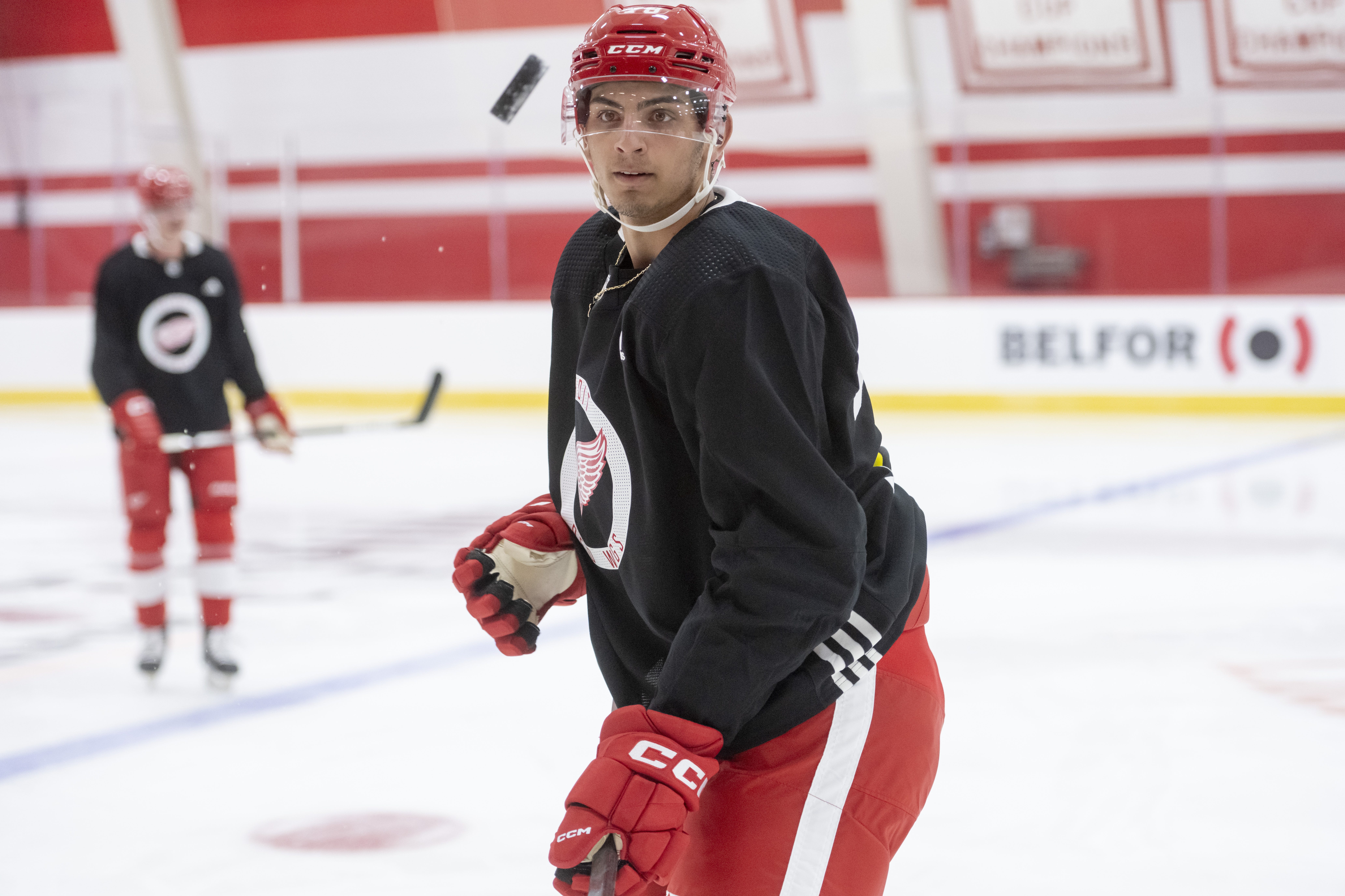 Prospek Red Wings, pemain Michigan mendominasi daftar Kejuaraan Dunia Junior AS