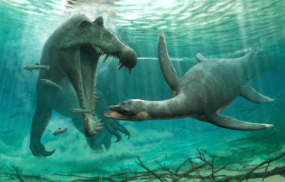 Plesiosaur fossils found: Reptile once thought to be Loch Ness monster Plesiosaur fossils found: Reptile once thought to be Loch Ness monster