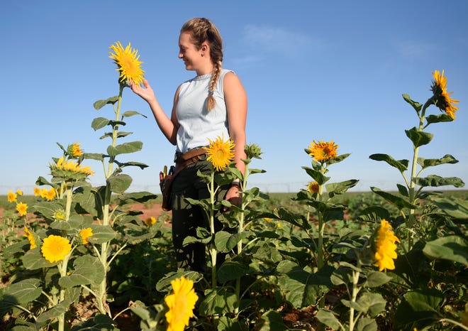 Skyler Richardson touches her sunflowers at Sky Gardens, Friday, Aug. 3, 2022, in Levelland. Richardson started the business in 2021 and sells bouquets and arrangements.