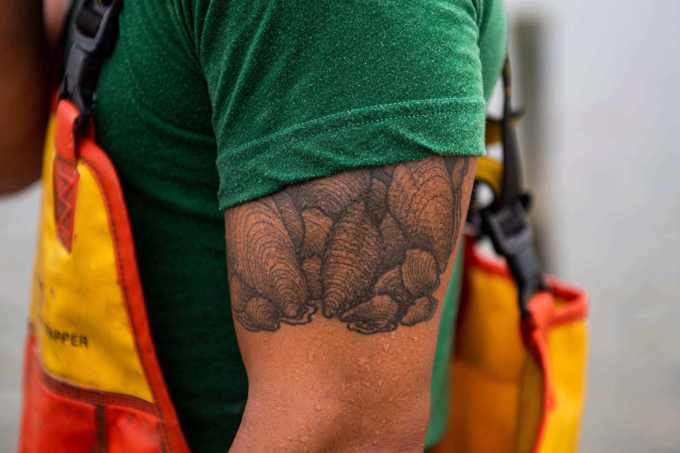 Oyster tattoos on the arm of Scott Budden on July 26, 2022.  He escaped his Washington, D.C., finance job in 2012 to come work on Kent Island.