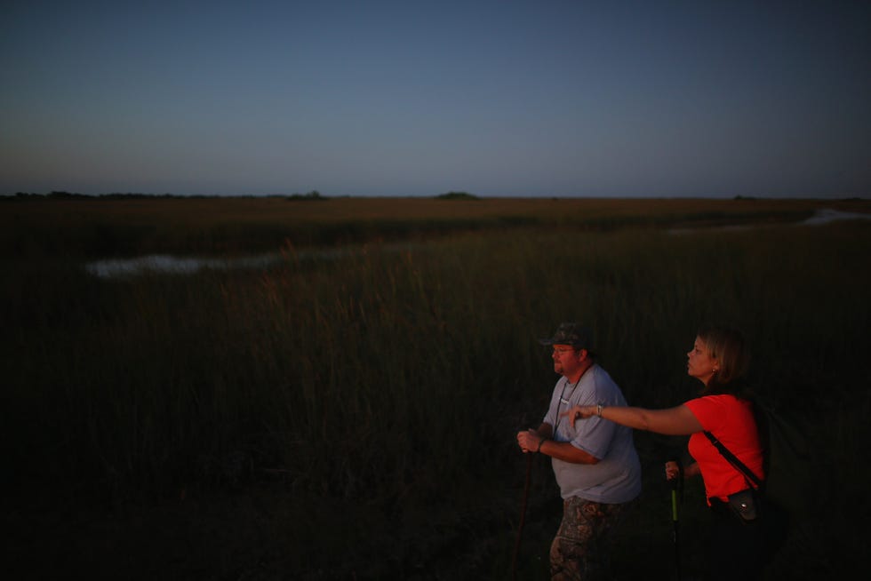 Dan Keenan, left, and Steffani Burd hunt for pythons in the Florida Everglades on the first day of the 2013 Python Challenge on Jan. 12, 2013, in Miami.