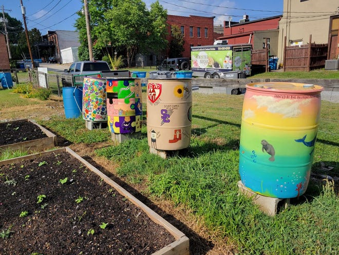 Barrels painted by Belmont Middle School art students on display in community garden.
