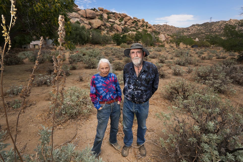 Ellen Woodward-Taylor and her husband Ken Taylor stand in a field of white sage they've grown at Sage Winds Farm in Jacumba Hot Springs, CA, a few miles north of the Mexican border where they have lived and worked for over 20 years. 