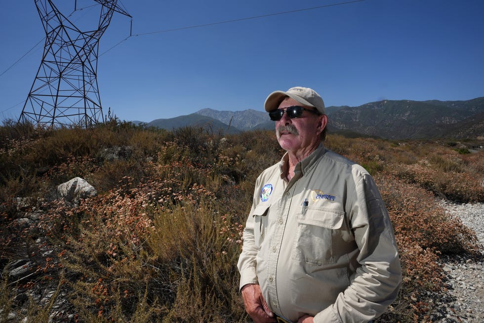 Ron Goodman, a ranger with San Bernardino County who patrols the North Etiwanda Preserve, has seen continual white sage poaching from the hills of his territory in Rancho Cucamonga, just east of Los Angeles. 