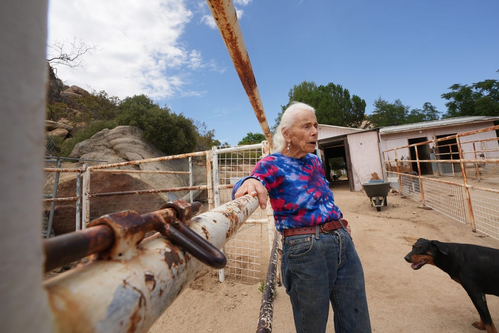 Ellen Woodward-Taylor tends to her animals at Sage Winds Farm in Jacumba Hot Springs, CA, a few miles north of the Mexican border where she has lived and worked for over 20 years. 