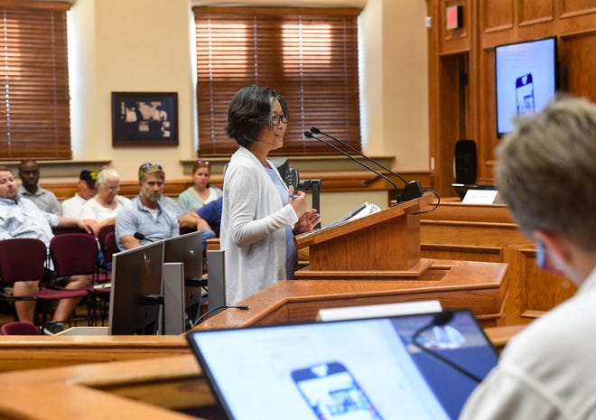 Irene Chang speaks during a public input session with the city's newly established homeless task force on Monday, August 8, 2022, at Carnegie Town Hall in Sioux Falls.