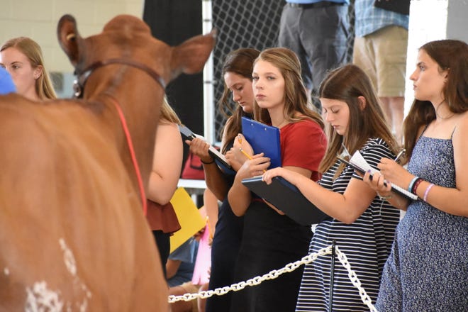 Over 100  youth competed in the State 4-H Dairy Cattle Judging contest held in Fond du Lac, Wis. on August 1, 2022