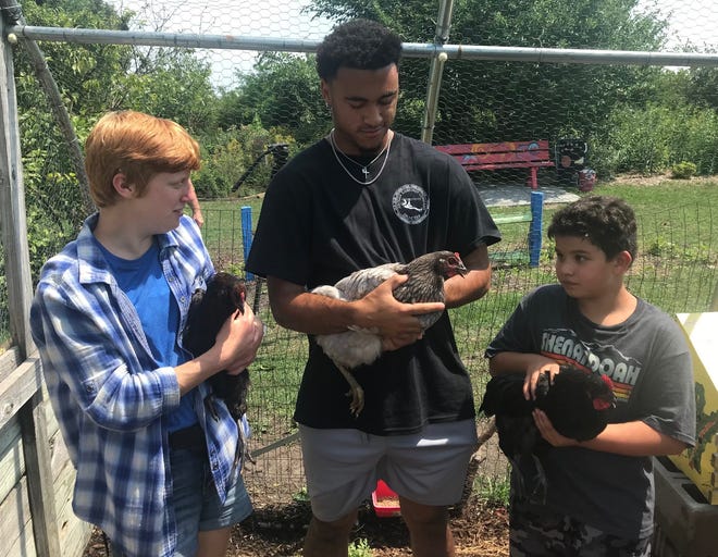 Notre Dame safety Brandon Joseph (center) holds a chicken with guidance from Unity Gardens staff member Shay Chupp (left) during Aug. 3 volunteer visit in South Bend.