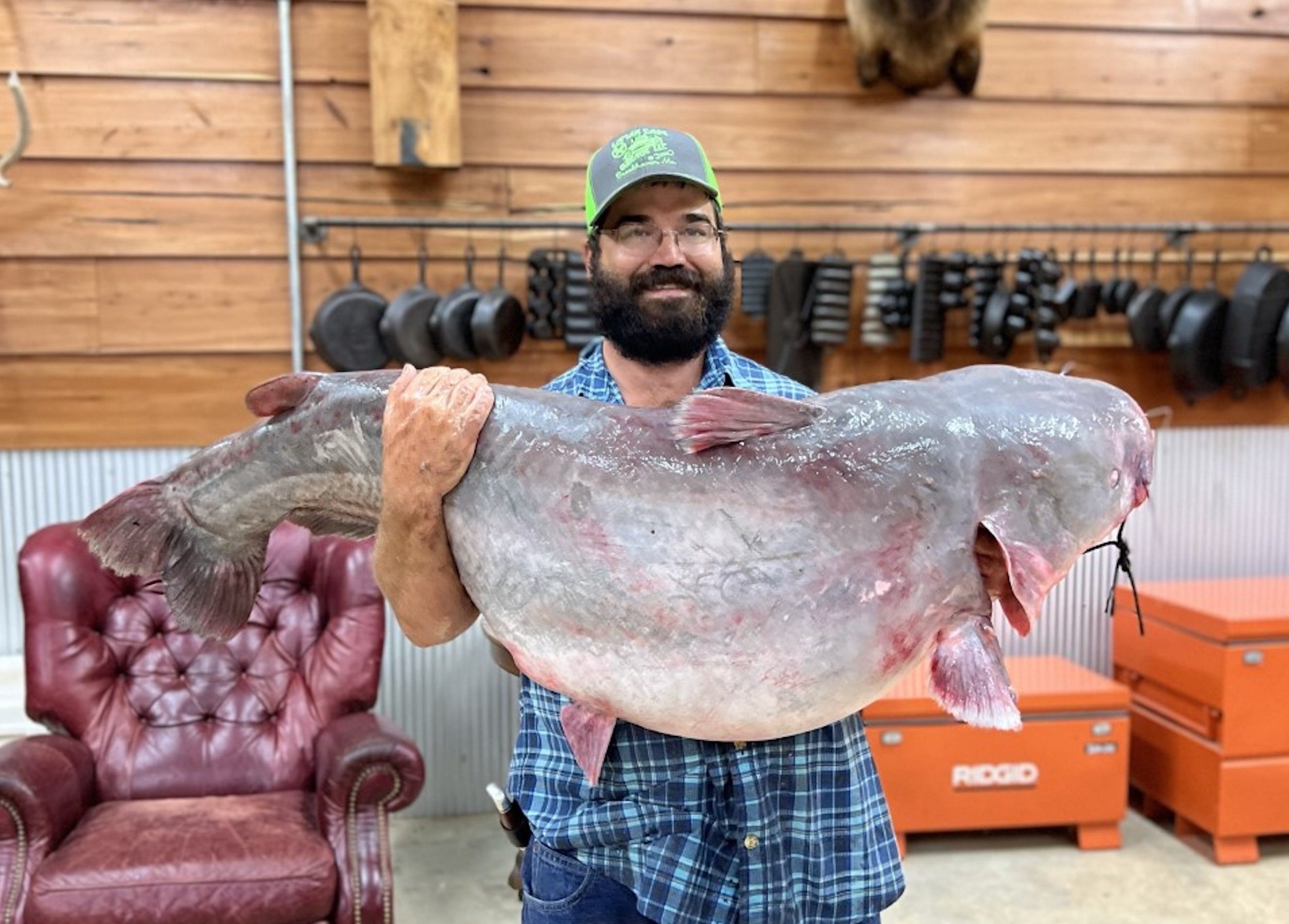 Mississippi angler breaks state record with giant 104-pound blue catfish