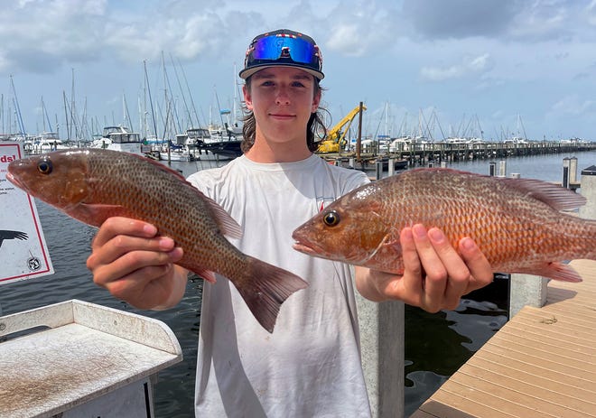 Cash Bird, 14, of Charlotte, North Carolina, caught these keeper size mangrove snapper while fishing in lower Tampa Bay with Capt. Capt. John Gunter this week.