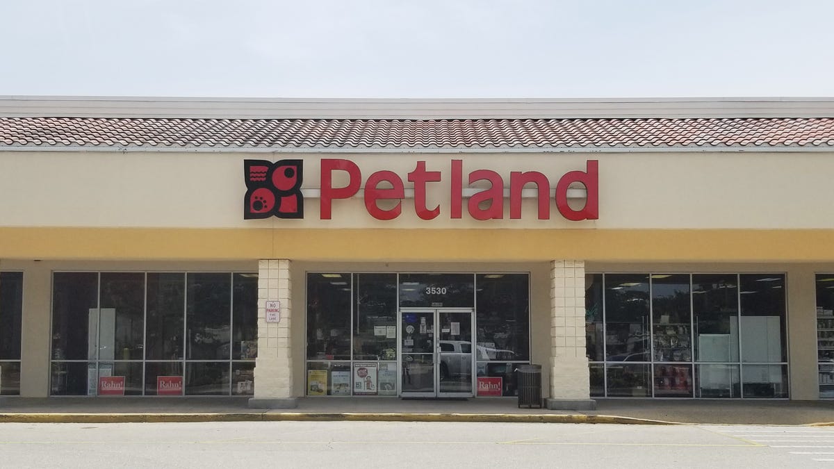 Manatee County bans new pet stores from selling dogs and cats Manatee County bans new pet stores from selling dogs and cats