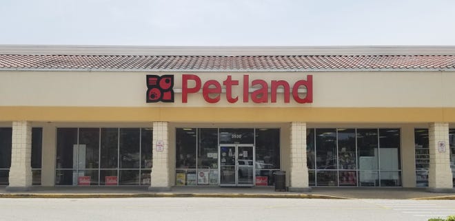 Manatee County poised to reverse course on retail pet sales ban