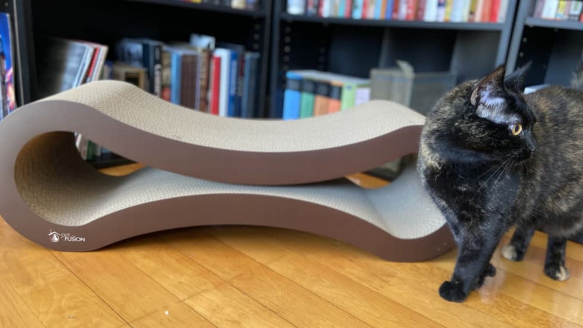 This pet lounger with 20,000 Amazon reviews is the best thing I’ve ever bought my cats from Amazon