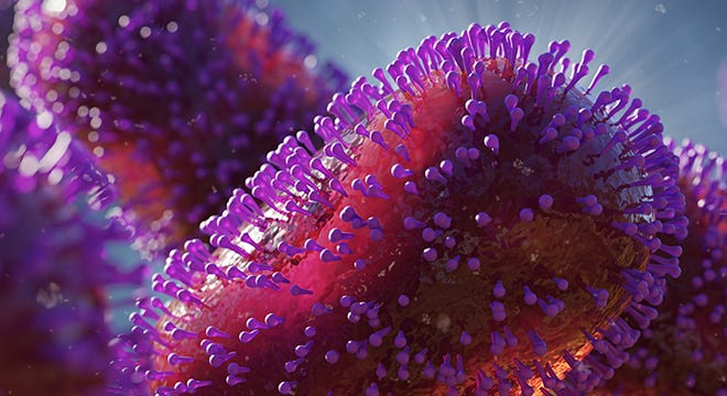 A microscopic view of the monkeypox virus.