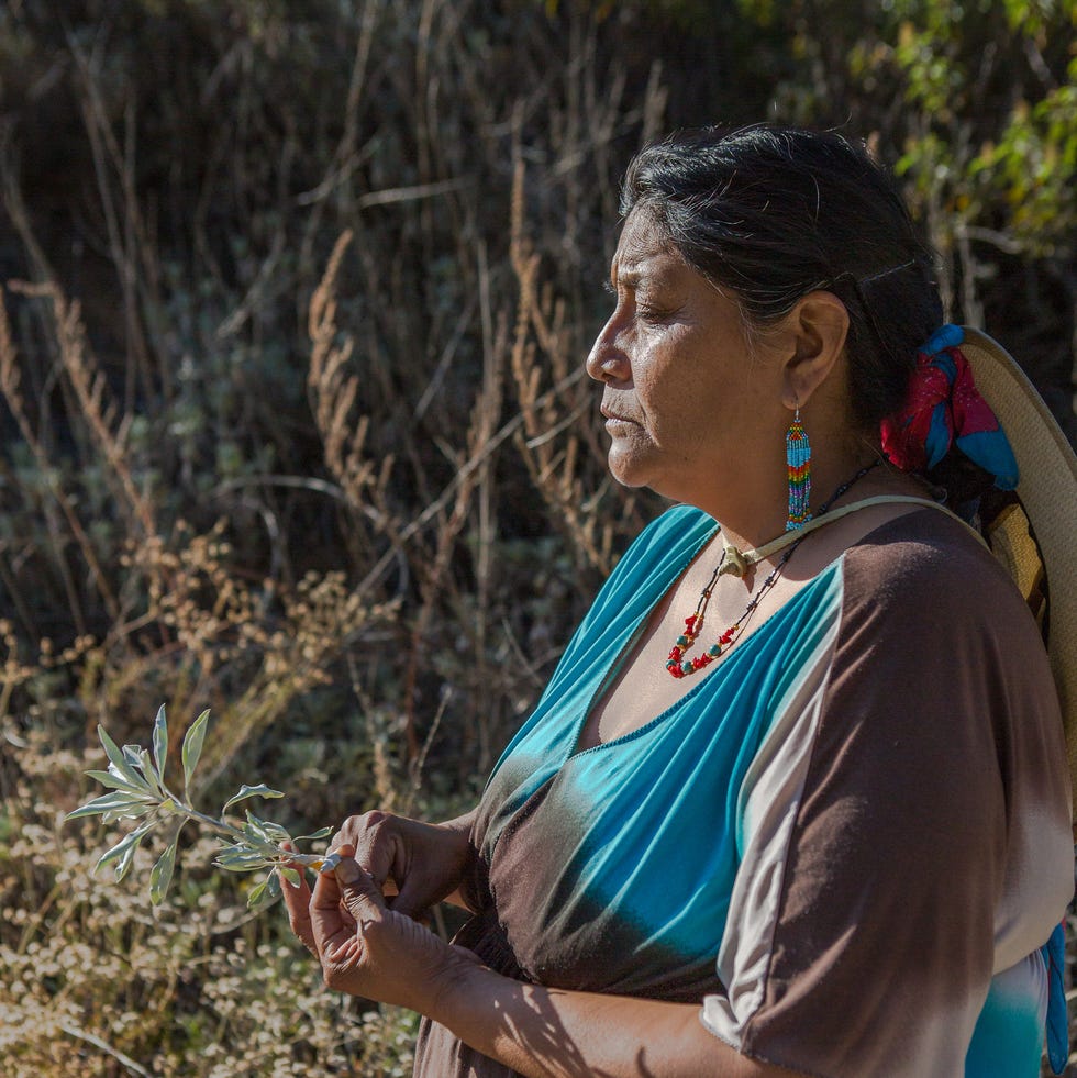 Norma Meza Calles holds a stalk of California white sage. Meza Calles was featured in the 2022 documentary "Saging the World," which showcases the worldwide problem of white sage poaching.