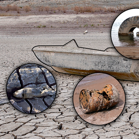 What's been found in Lake Mead?