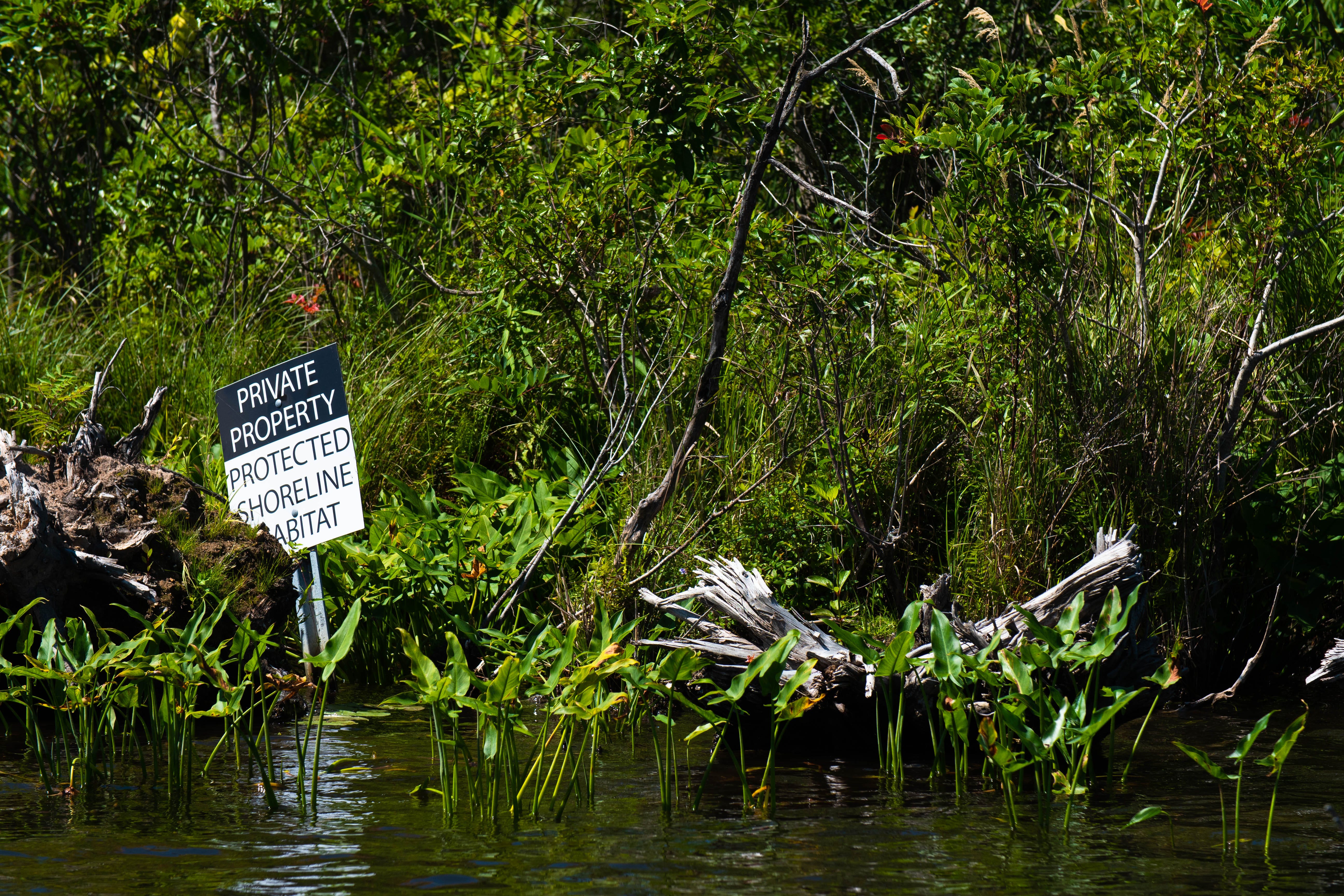 From forests to faucet, Michigan DNR starts new clean-water initiativeThe Michigan Department of Natural Resources has started a Forest to MI Fa...