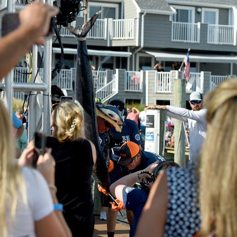 Jeremy Duffie on Billfisher caught a 77.5 pound wh