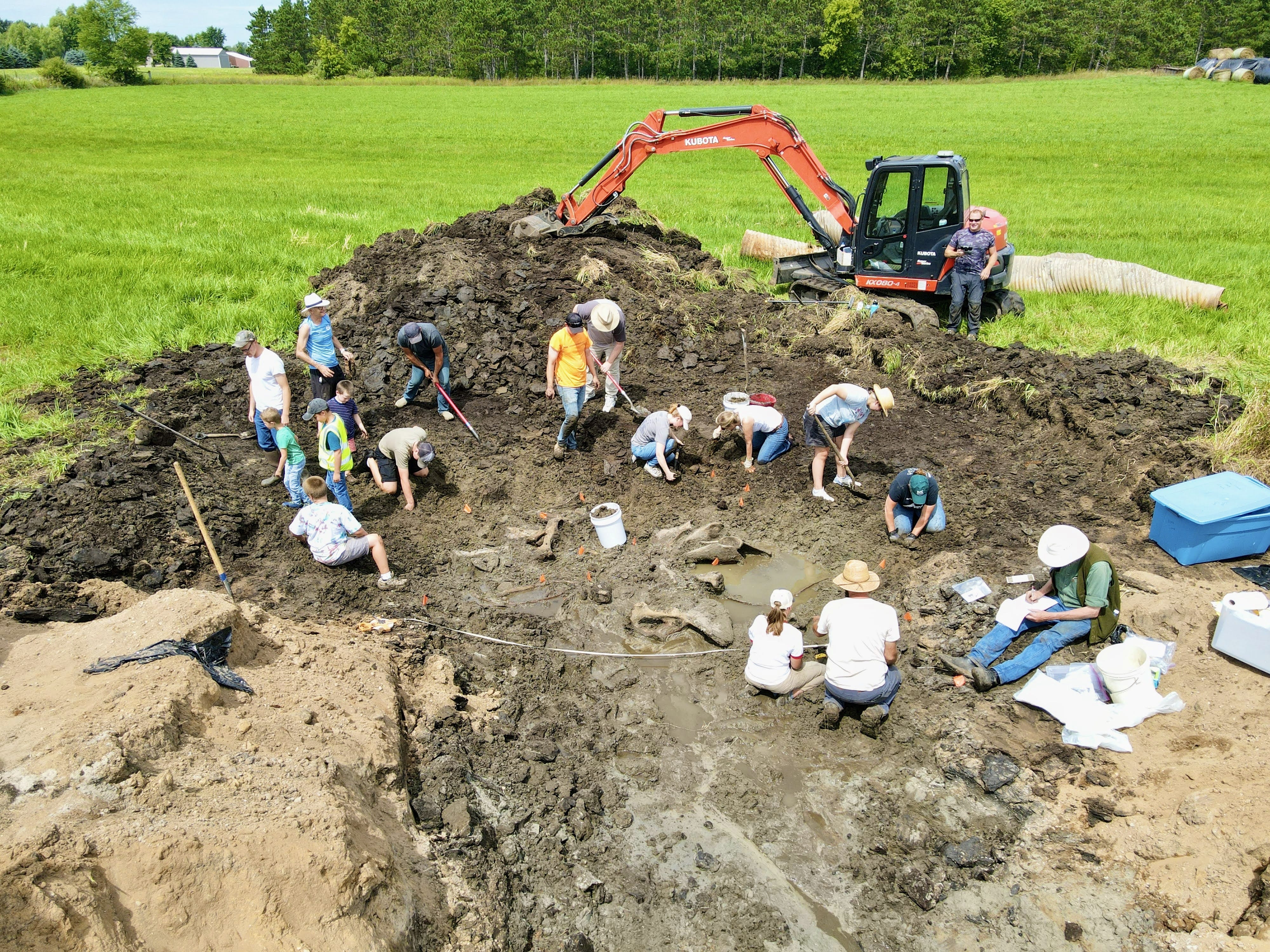 Mastodon skeleton unearthed in Kent County 'about 40-60% complete'