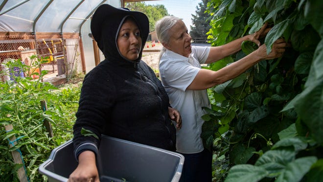 Esta granja en Colorado enseña habilidades de confianza en sí mismas a mujeres inmigrantes