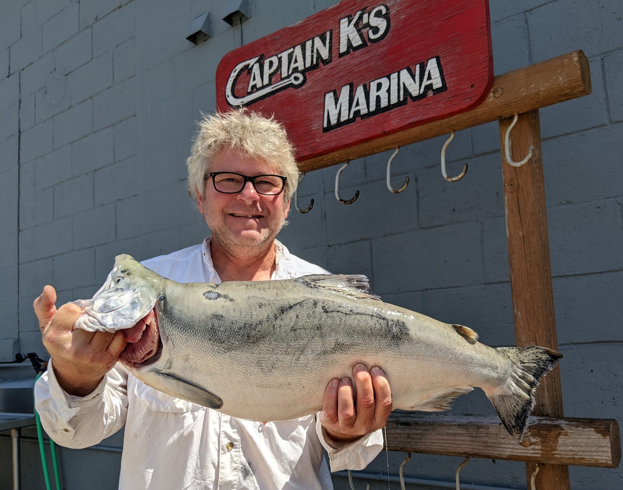 World Record Pink Salmon
