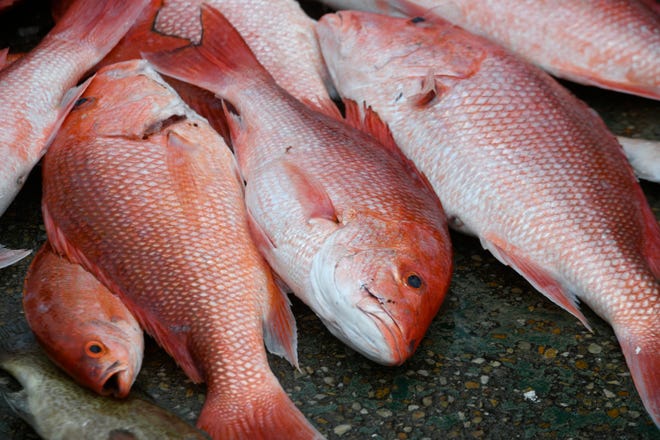 TPWD announces date for when Red Snapper season ends in federal waters