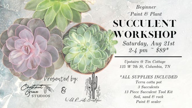 Tin Cottage, 1225 W. 7th St. just off the downtown Columbia square, will host a succulent workshop this weekend, where guests will create their own planting arrangements.