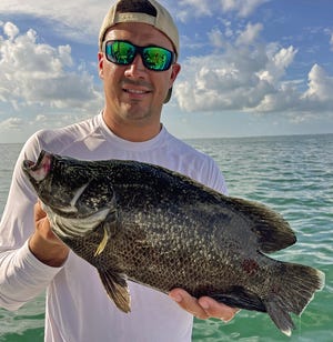 Jimmy Hobbs of Winter Haven caught this 18-inch, keeper size tripletail on a live pinfish while fishing a channel marker in lower Tampa Bay with Capt. Capt. John Gunter this week.