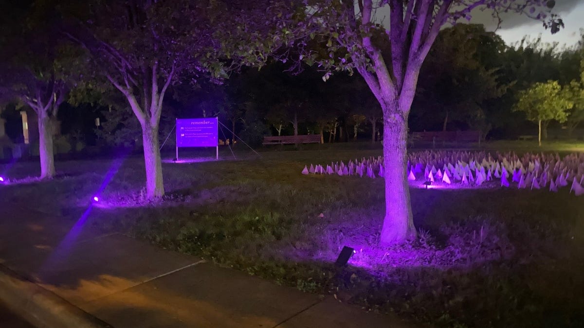 Downtown to glow purple for Overdose Awareness Month Downtown to glow purple for Overdose Awareness Month